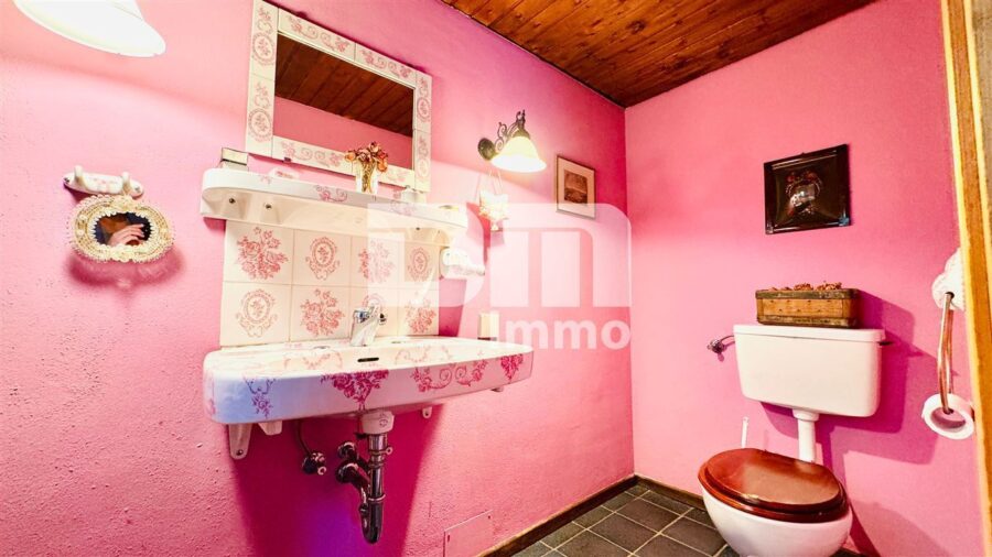 Einfamilienhaus im Bungalow-Stil + Nutzflächen / Pool / Terrasse auf riesigem Traumgrundstück - Souterrain Gäste WC